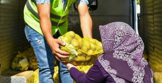 İzmir Büyükşehir 100 ton patates aldı