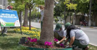 Mersin, Büyükşehir'le Çiçek Açıyor