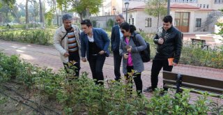 Mersin Büyükşehir Belediyesi?nden Çevre ve Doğa Dostu Bir Proje Daha