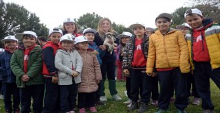 Osmangazi'den Sokak Hayvanlarını Koruma Günü Etkinliği