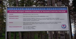 Atatürk Köşkü Ormanı Koruma ve Rehabilitasyon Projesi kamuoyuna açıklandı