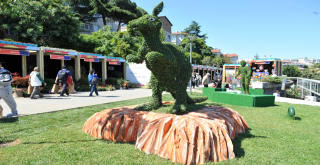 Beşiktaş Uluslararası Bahçe ve Çiçek Festivali!