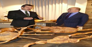 İşadamı Sözen'in 20 yıldır topladığı  ağaç kökleri Trabzon'da müze oldu