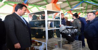 Türkiye'nin En Modern Kuş Pazarı Osmangazi'de
