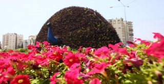 Mersin'de Dev Boyutlarda Botanik Heykeller İnşa Ediliyor