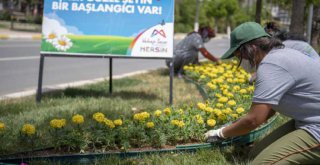 Mersin, Büyükşehir'le Çiçek Açıyor