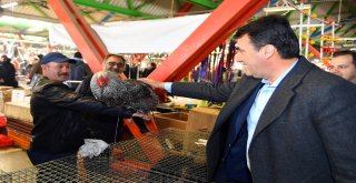 Türkiye'nin En Modern Kuş Pazarı Osmangazi'de