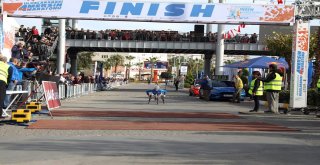 Mersin Maratonu’na Bağcılarlı Sporcular Adını Yazdırdı
