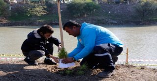 Öğrenciler Ceyhan’ın Kıyılarını Ağaçlandırıyor