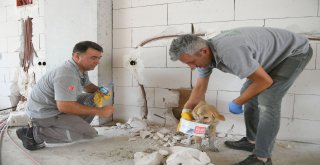 İki Duvar Arasına Sıkışan Köpek Kurtarıldı