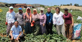 Büyükşehir'den Kiraz'daki kadınlara eğitim