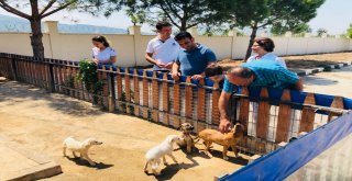 Mustafa Genç'ten Hayvan Bakım Merkezine Ziyaret