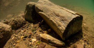 Dünyada İlk Kez Kara Canlısının Fosili Yamula Barajı'nda Su Altında Bulundu