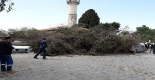Tarsus'ta Rüzgar Etkili Oldu