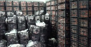 Adana'da Yaklaşık 40 ton kaçak et ele geçirildi