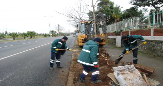 Büyükşehir Belediyesi ağaçlandırma çalışmalarını sürdürüyor