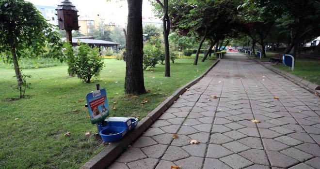 Bağcılar’daki parklarda sokak hayvanlarına su ve mama hizmeti