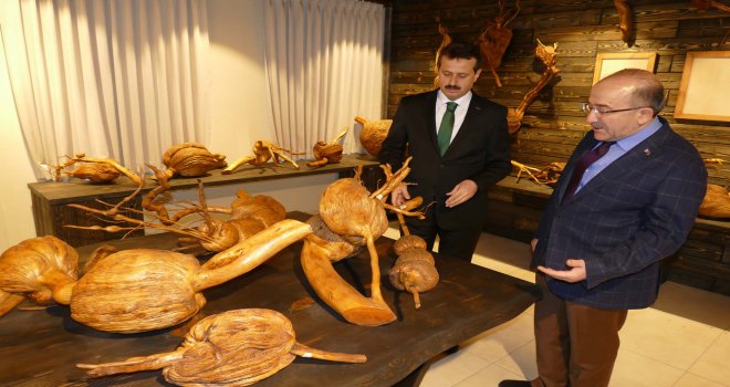 İşadamı Sözen'in 20 yıldır topladığı  ağaç kökleri Trabzon'da müze oldu