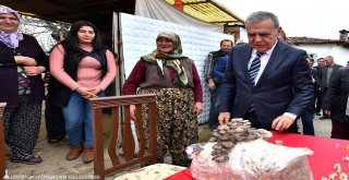 İzmir'den bir başarı öyküsü daha..