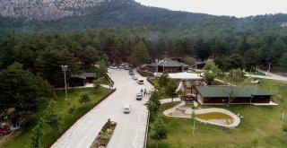Bu şenlik kaçmaz