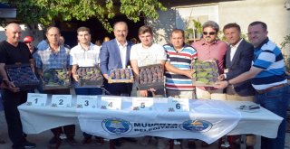 KARA İNCİR ŞENLİĞİ MÜRSEL MAHALLESİ’NDE