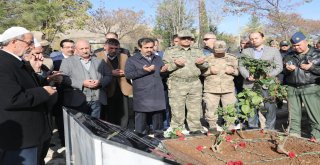 Şehit Ailesine Şehadet Beratı takdim edildi