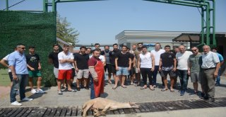 Zonguldak Kömürspor Maçı Öncesi Kurban Kesildi