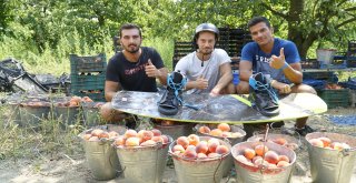 Tarladan Türkiye Şampiyonası'na