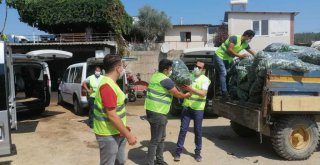 Biz Varız dayanışması sürüyor 48 ton taze salatalık dağıtıldı