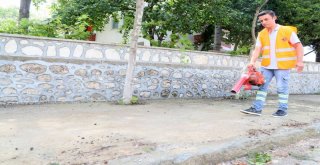 Büyükşehir Ekipleri Yaylalarda Haşereye Geçit Vermiyor