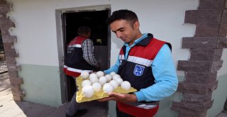 SİNCAN HAYVANAT BAHÇESİ’NDE KULUÇKA HEYECANI…