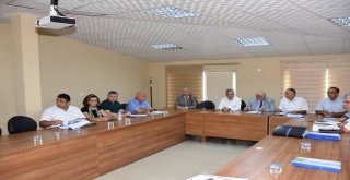 Büyükşehir Belediyesi'nin Yatırımları Değerlendirildi