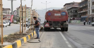 YEŞİL KENT SAĞLIKLI GELECEK