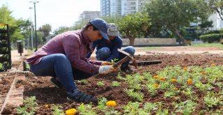 Mersinde Cadde ve Parklar Çiçek Açtı