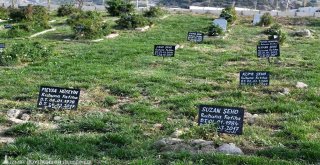 412 numaralı ada