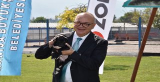 Büyükşehir ve Vestel Hayvanlara Umut Oldu