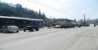 MUDANYA’DAN BİR İLK DAHA!