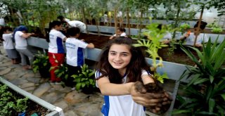 Bağcılar’da çocuklar bitkilerle arkadaş oldular