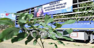 Kent Araştırmaları ve Eğitim Şube Müdürlüğü