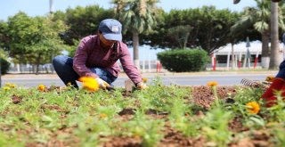 Mersinde Cadde ve Parklar Çiçek Açtı