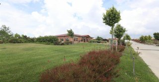 Doğa ile İç İçe Bir Yaşam