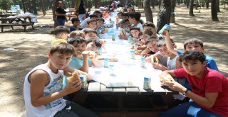 Piknik Sezonunda Ümraniye Mesire Alanına Yoğun İlgi