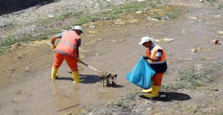 VAN GÖLÜNE DÖKÜLEN DERELERDE TEMİZLİK YAPILIYOR