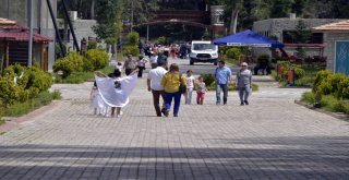 Tarsus Hayvan Parkına Sıcak Ayarı