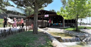 Kefe Yaylası doğa tutkunlarını bekliyor
