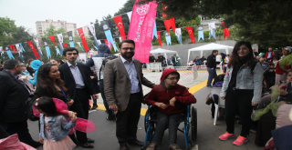 Kelebek Festivali 2018!