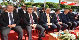 Başkan Kocamaz Zeytin Dalı Anıtı'nın Açılışını Gerçekleştirdi