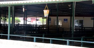 Kurban Bayramı Öncesi Büyükşehir'den 'Sağlık' Tedbiri