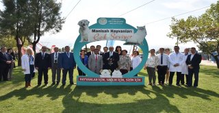 Büyükşehir ve Vestel Hayvanlara Umut Oldu
