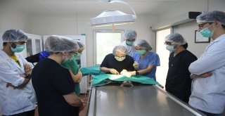 Geleceğin Veterinerleri Staj İçin Osmangaziyi Seçti